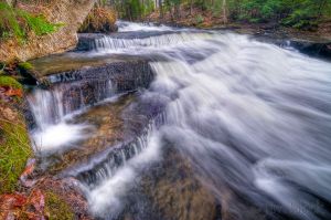 42  CW756 Bicknell Brook along the Colette Trail.jpg